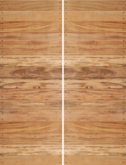 FL-10 Tiger Wood